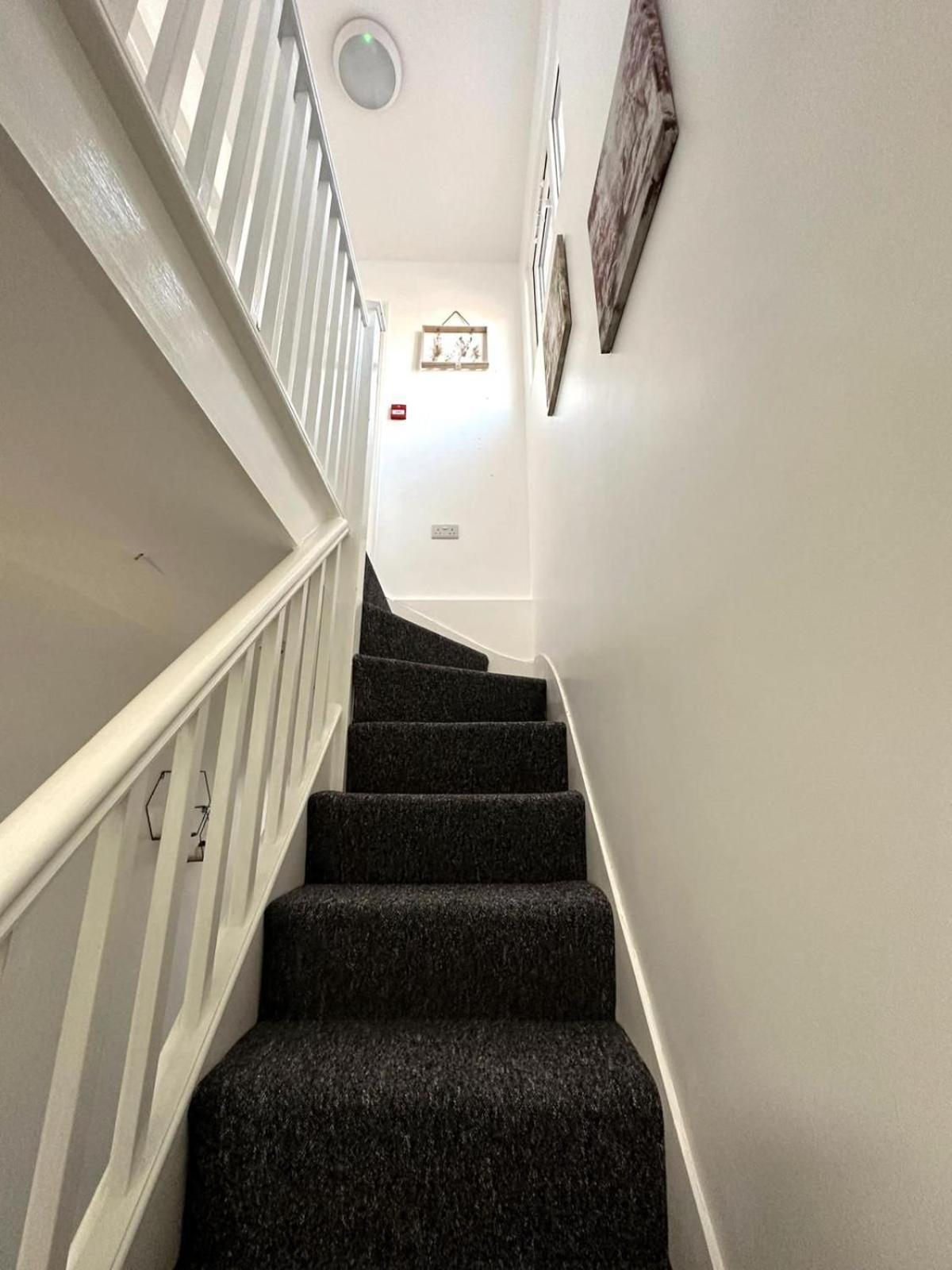 Newmarket Road Studios And Suites By Tas Accommodations Cambridge Zewnętrze zdjęcie